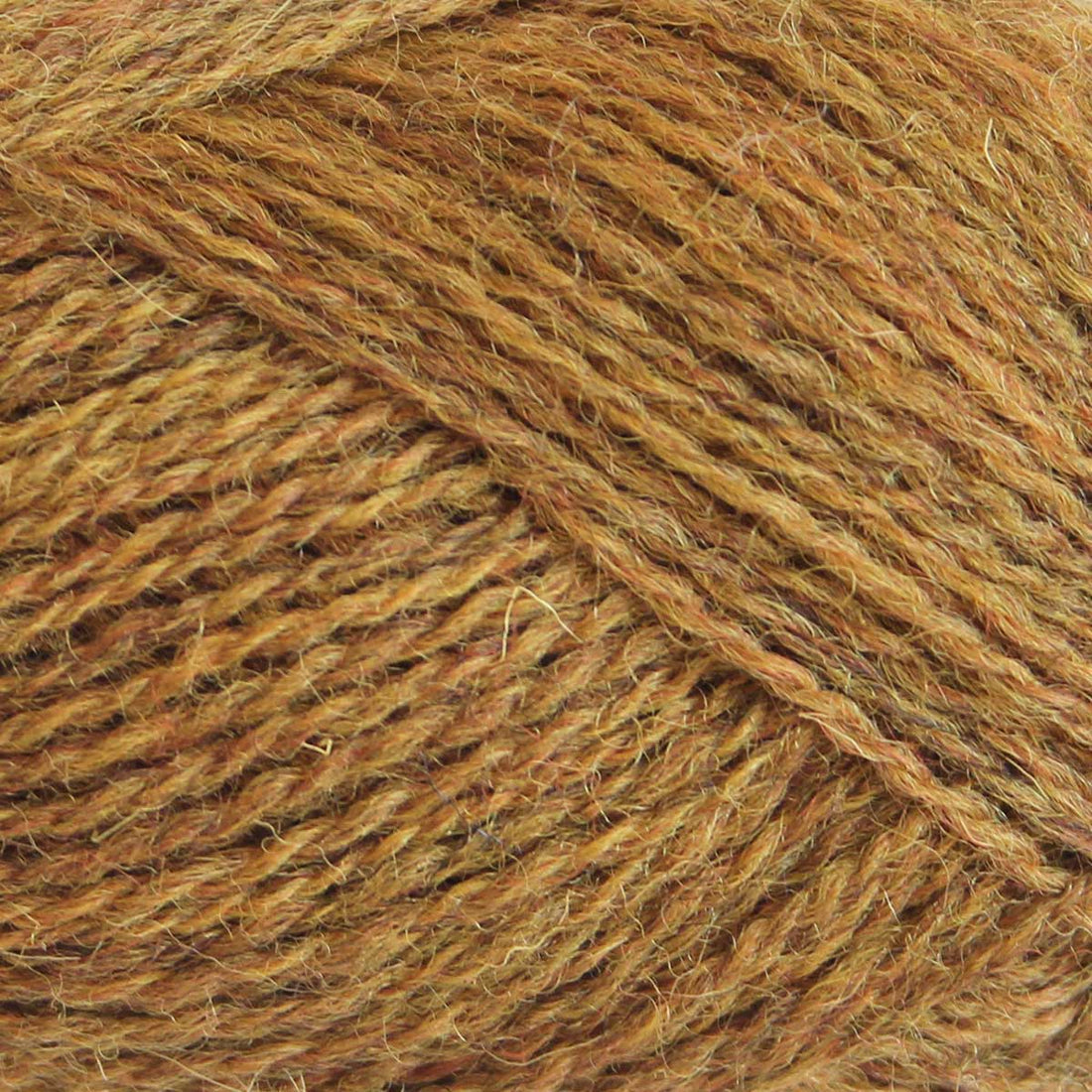 Pip Colourwork from Baa Ram Ewe