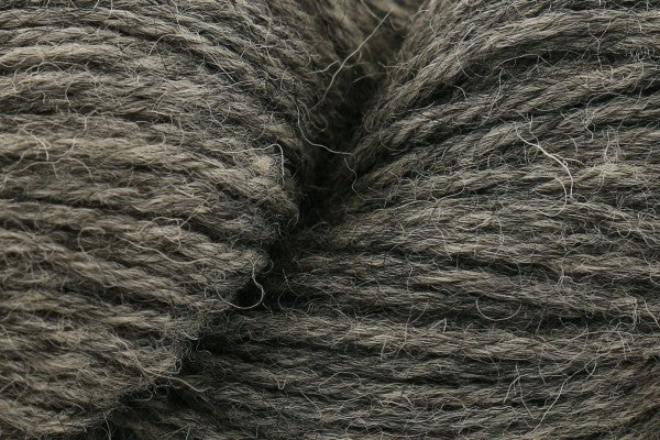 Eden dk from Baa Ram Ewe