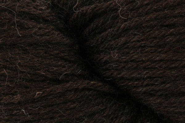 Eden dk from Baa Ram Ewe