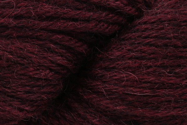 Eden dk from Baa Ram Ewe