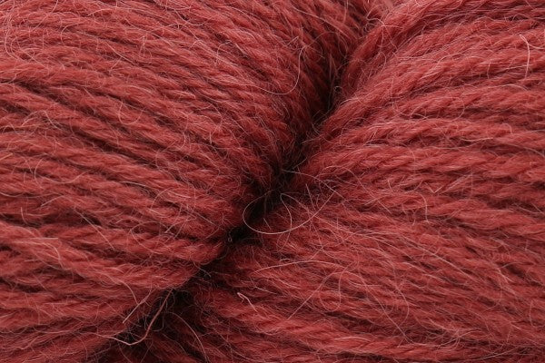 Eden dk from Baa Ram Ewe