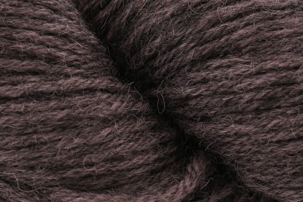 Eden dk from Baa Ram Ewe