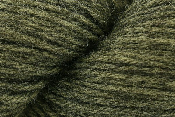 Eden dk from Baa Ram Ewe