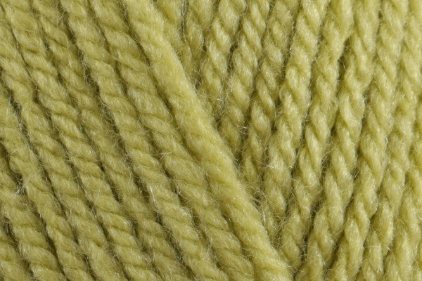 Stylecraft Special Chunky